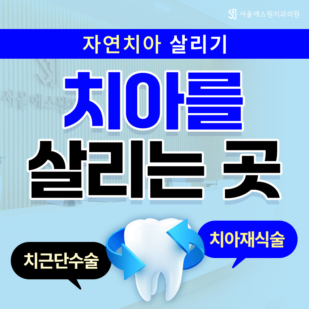 치아를살리는곳